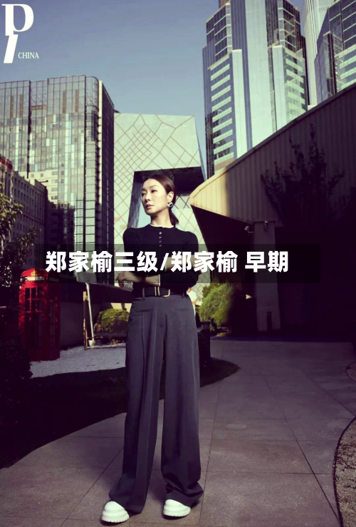 郑家榆三级/郑家榆 早期-第2张图片