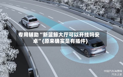 专用辅助“新蓝鲸大厅可以开挂吗安卓	”(原来确实是有插件)-第2张图片