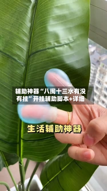 辅助神器“八闽十三水有没有挂”开挂辅助脚本+详细-第3张图片