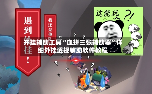 开挂辅助工具“血拼三张辅助器”详细外挂透视辅助软件教程-第3张图片