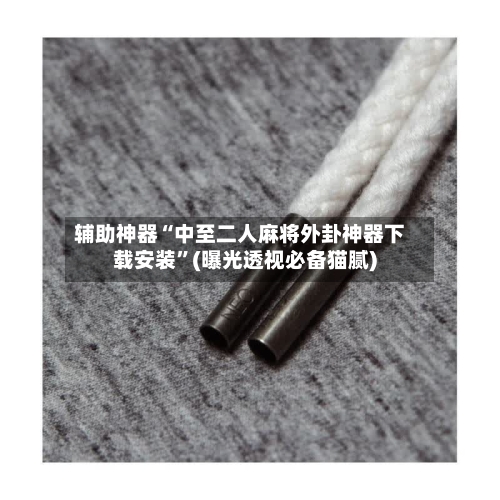 辅助神器“中至二人麻将外卦神器下载安装”(曝光透视必备猫腻)-第1张图片