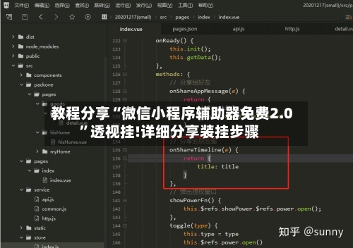 教程分享“微信小程序辅助器免费2.0”透视挂!详细分享装挂步骤-第1张图片