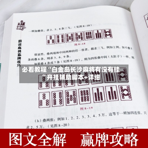 必看教程“白金岛长沙麻将有没有挂	”开挂辅助脚本+详细-第1张图片
