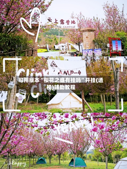 可用版本“樱花之盛有挂吗”开挂(透视)辅助教程-第2张图片