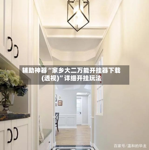 辅助神器“家乡大二万能开挂器下载(透视)	”详细开挂玩法-第2张图片