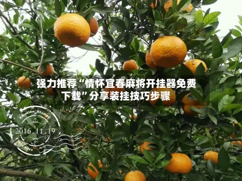 强力推荐“情怀宜春麻将开挂器免费下载”分享装挂技巧步骤-第2张图片