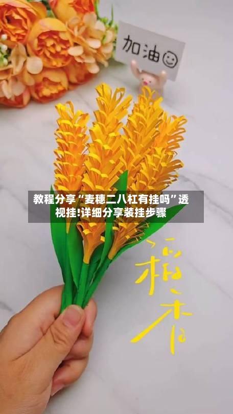 教程分享“麦穗二八杠有挂吗	”透视挂!详细分享装挂步骤-第1张图片