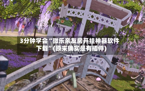 3分钟学会“微乐亲友房开挂神器软件下载”(原来确实是有插件)-第1张图片