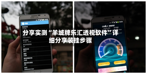 分享实测“羊城牌乐汇透视软件	”详细分享装挂步骤-第1张图片