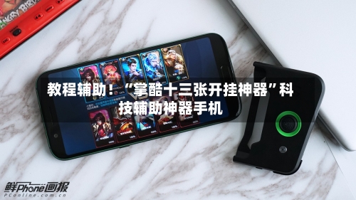 教程辅助！“掌酷十三张开挂神器”科技辅助神器手机-第2张图片