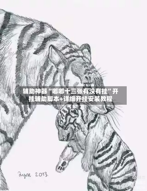 辅助神器“嘟嘟十三张有没有挂”开挂辅助脚本+详细开挂安装教程-第2张图片