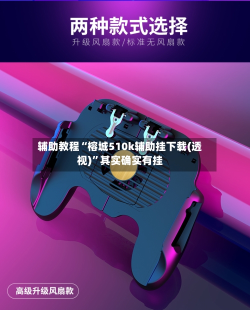 辅助教程“榕城510k辅助挂下载(透视)”其实确实有挂-第3张图片