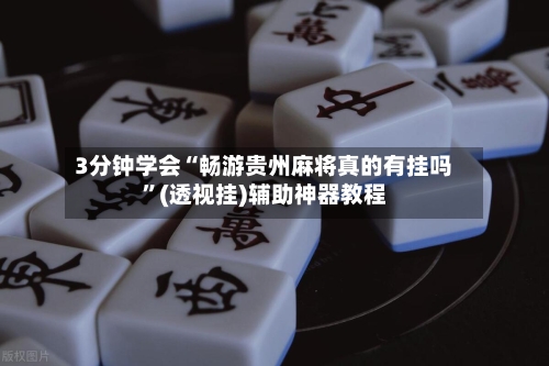 3分钟学会“畅游贵州麻将真的有挂吗	”(透视挂)辅助神器教程-第2张图片