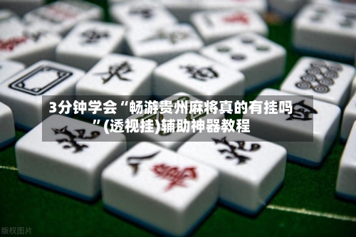 3分钟学会“畅游贵州麻将真的有挂吗”(透视挂)辅助神器教程-第3张图片