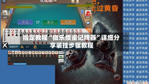 指定教程“微乐掼蛋记牌器”详细分享装挂步骤教程-第1张图片