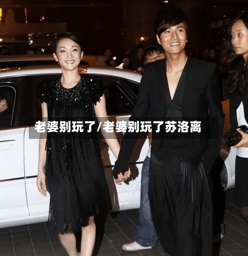 老婆别玩了/老婆别玩了苏洛离-第2张图片