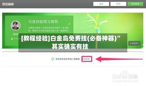 [教程经验]白金岛免费挂(必备神器)	”其实确实有挂-第2张图片