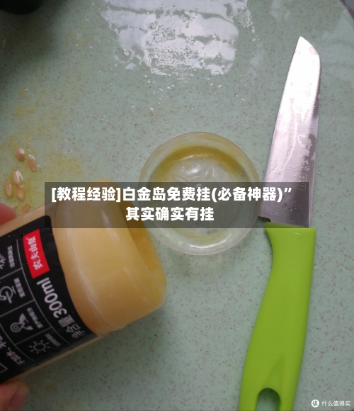 [教程经验]白金岛免费挂(必备神器)”其实确实有挂-第3张图片