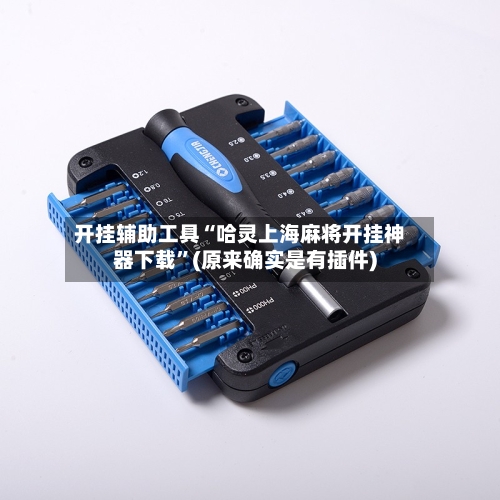 开挂辅助工具“哈灵上海麻将开挂神器下载	”(原来确实是有插件)-第1张图片