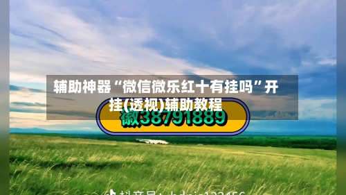 辅助神器“微信微乐红十有挂吗”开挂(透视)辅助教程-第3张图片