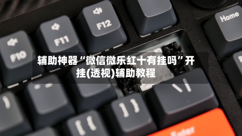 辅助神器“微信微乐红十有挂吗”开挂(透视)辅助教程-第1张图片