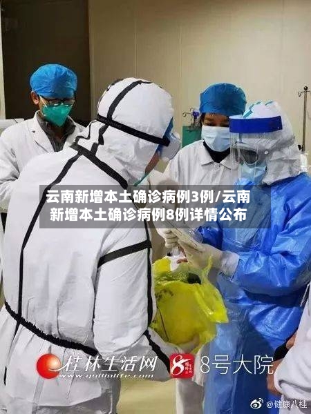 云南新增本土确诊病例3例/云南新增本土确诊病例8例详情公布-第1张图片