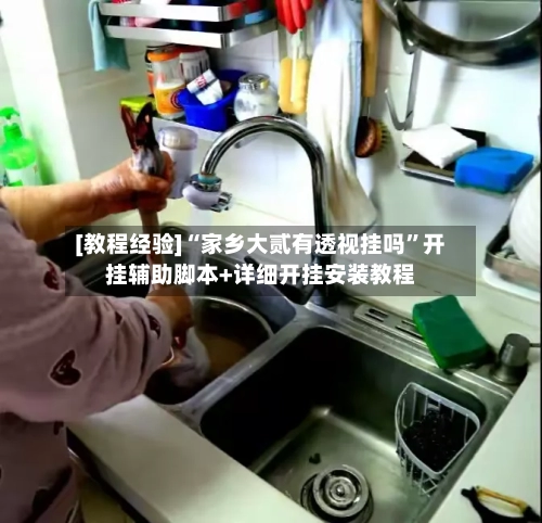 [教程经验]“家乡大贰有透视挂吗”开挂辅助脚本+详细开挂安装教程-第1张图片