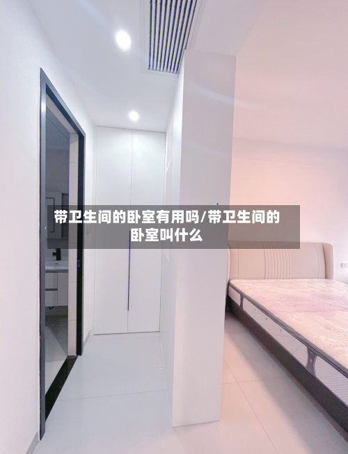 带卫生间的卧室有用吗/带卫生间的卧室叫什么-第1张图片