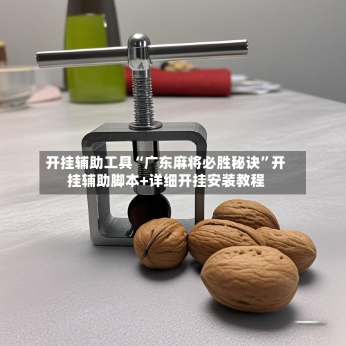 开挂辅助工具“广东麻将必胜秘诀”开挂辅助脚本+详细开挂安装教程-第1张图片