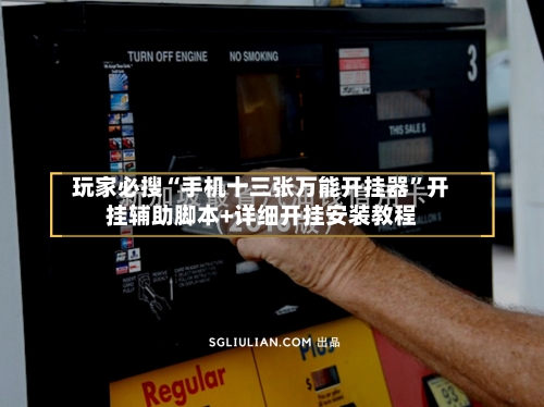 玩家必搜“手机十三张万能开挂器”开挂辅助脚本+详细开挂安装教程-第2张图片