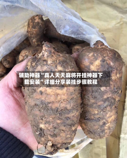 辅助神器“真人天天麻将开挂神器下载安装”详细分享装挂步骤教程-第2张图片