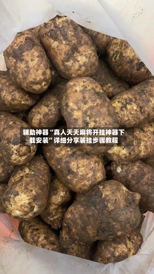 辅助神器“真人天天麻将开挂神器下载安装”详细分享装挂步骤教程-第1张图片