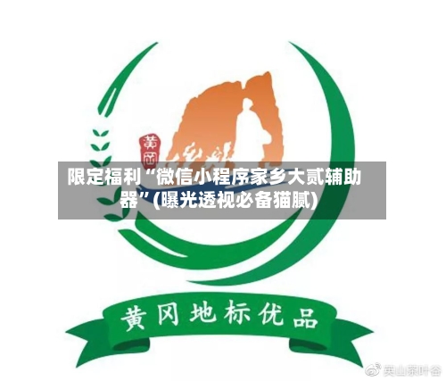 限定福利“微信小程序家乡大贰辅助器”(曝光透视必备猫腻)-第3张图片
