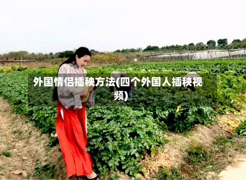 外国情侣插秧方法(四个外国人插秧视频)-第2张图片