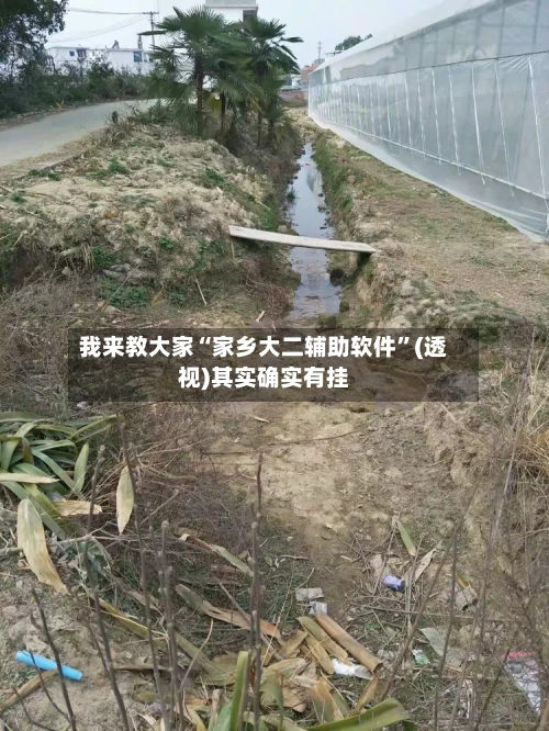 我来教大家“家乡大二辅助软件	”(透视)其实确实有挂-第2张图片