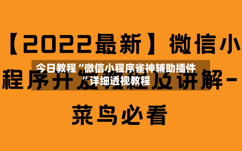 今日教程“微信小程序雀神辅助插件”详细透视教程-第1张图片