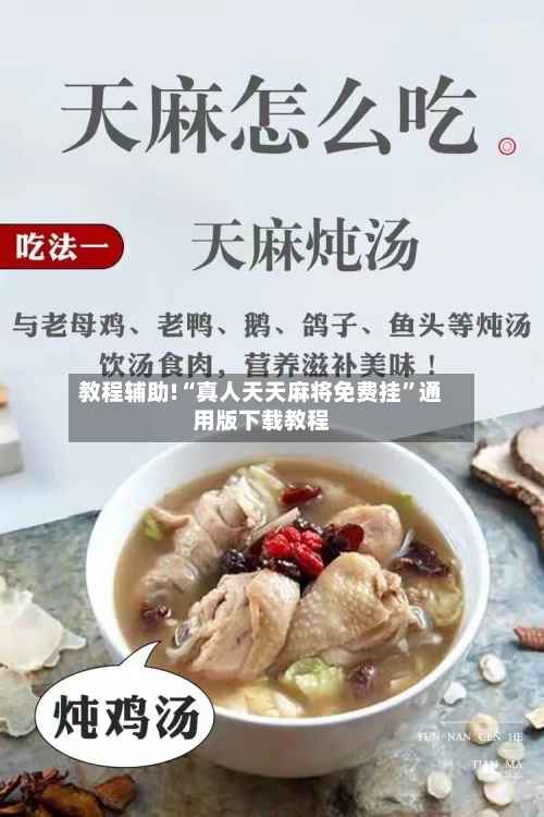 教程辅助!“真人天天麻将免费挂	”通用版下载教程-第1张图片