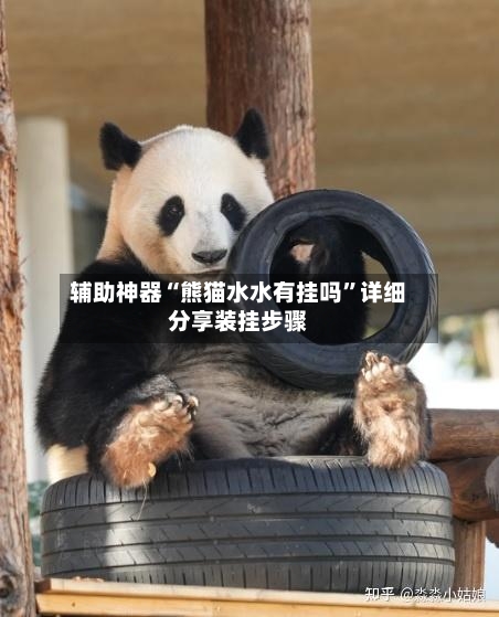 辅助神器“熊猫水水有挂吗”详细分享装挂步骤-第1张图片