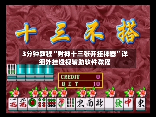 3分钟教程“财神十三张开挂神器”详细外挂透视辅助软件教程-第1张图片