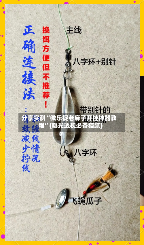 分享实测“微乐捉老麻子开挂神器教程	”(曝光透视必备猫腻)-第1张图片