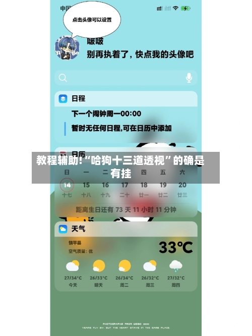 教程辅助!“哈狗十三道透视	”的确是有挂-第1张图片