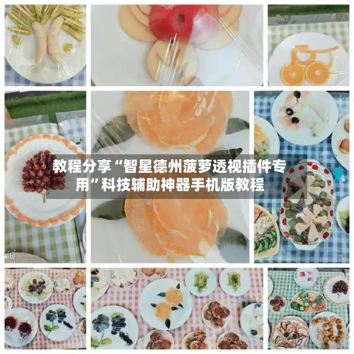 教程分享“智星德州菠萝透视插件专用	”科技辅助神器手机版教程-第1张图片