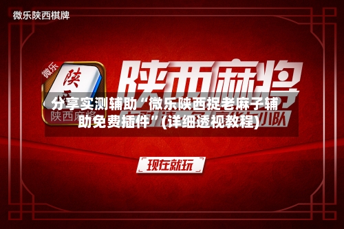 分享实测辅助“微乐陕西捉老麻子辅助免费插件”(详细透视教程)-第1张图片