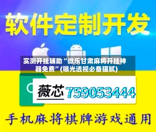 实测开挂辅助“微乐甘肃麻将开挂神器免费”(曝光透视必备猫腻)-第1张图片