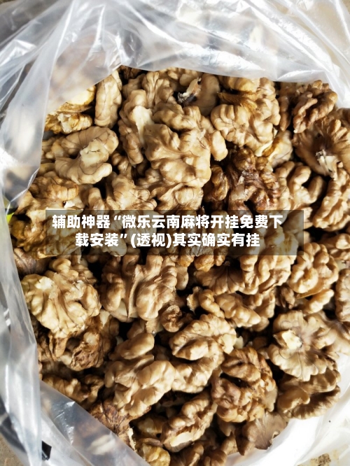 辅助神器“微乐云南麻将开挂免费下载安装”(透视)其实确实有挂-第1张图片