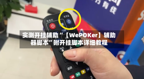实测开挂辅助“【WePOKer】辅助器脚本”附开挂脚本详细教程-第1张图片