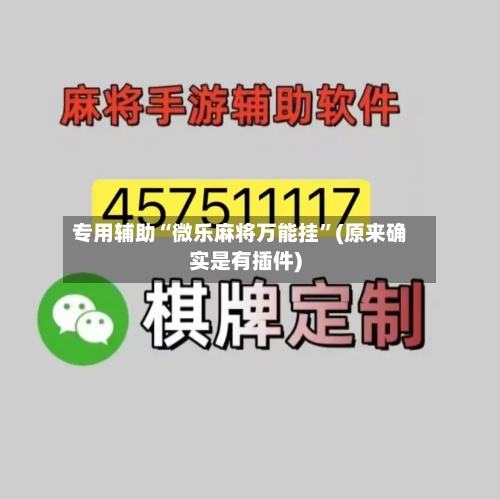 专用辅助“微乐麻将万能挂”(原来确实是有插件)-第1张图片