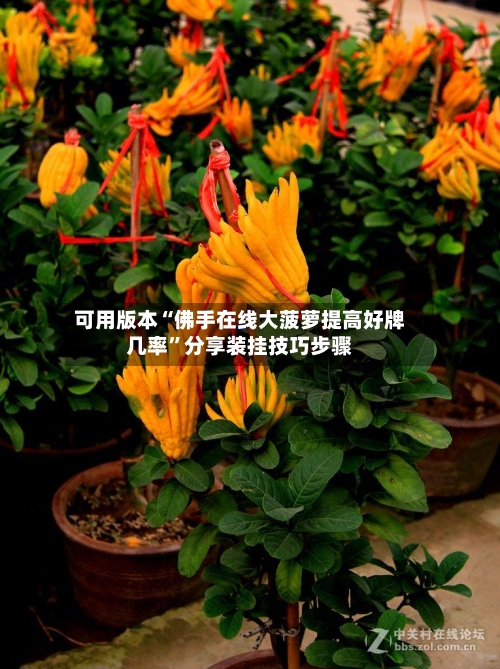 可用版本“佛手在线大菠萝提高好牌几率	”分享装挂技巧步骤-第1张图片