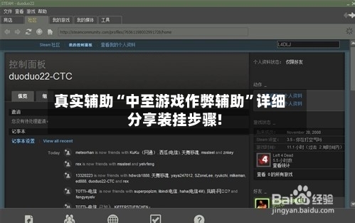 真实辅助“中至游戏作弊辅助”详细分享装挂步骤!-第1张图片