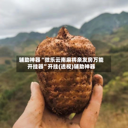 辅助神器“微乐云南麻将亲友房万能开挂器”开挂(透视)辅助神器-第1张图片